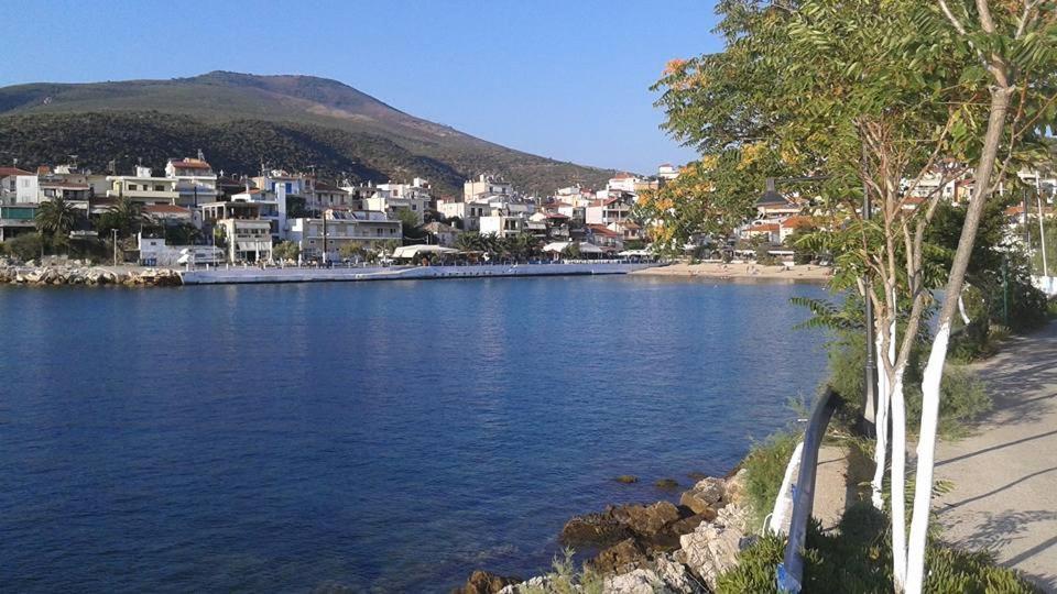 Ilio Socrates * Skala Marion